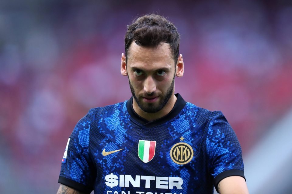 半区三角草 半区三角草